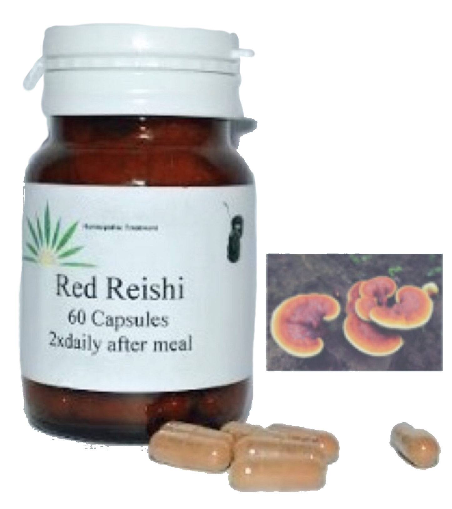 Red REISHI caps (120)